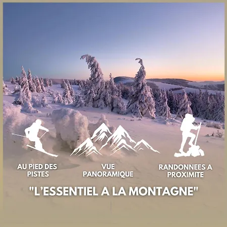 公寓 Cosy Avec Vue Panoramique Sur Les Vosges