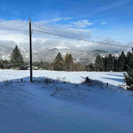 Cosy Avec Vue Panoramique Sur Les Vosges Apartmán Sondernach