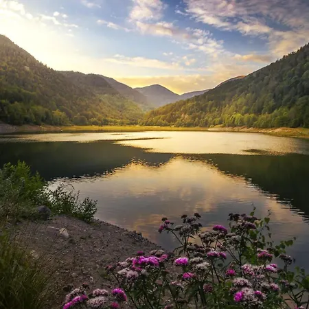 Cosy Avec Vue Panoramique Sur Les Vosges アパート Sondernach