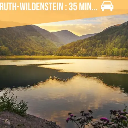 アパート Cosy Avec Vue Panoramique Sur Les Vosges