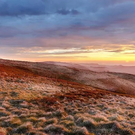 Cosy Avec Vue Panoramique Sur Les Vosges * Sondernach